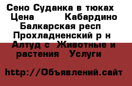 Сено-Суданка в тюках › Цена ­ 100 - Кабардино-Балкарская респ., Прохладненский р-н, Алтуд с. Животные и растения » Услуги   